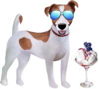 sunglasses-ice-cream-jasper-min
